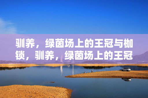 驯养,绿茵场上的王冠与枷锁,驯养,绿茵场上的王冠与枷锁