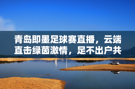 青岛即墨足球赛直播,云端直击绿茵激情,足不出户共享足球盛宴,青岛即墨足球赛直播,云端直击绿茵盛宴
