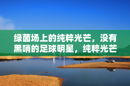 绿茵场上的纯粹光芒,没有黑哨的足球明星,纯粹光芒,无黑哨的绿茵明星