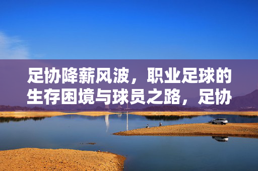 足协降薪风波，职业足球的生存困境与球员之路，足协降薪风波，职业足球生存困境与球员之路