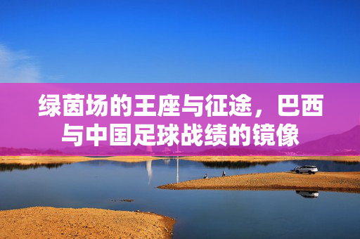 绿茵场的王座与征途,巴西与中国足球战绩的镜像