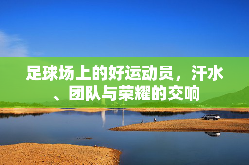 足球场上的好运动员,汗水、团队与荣耀的交响