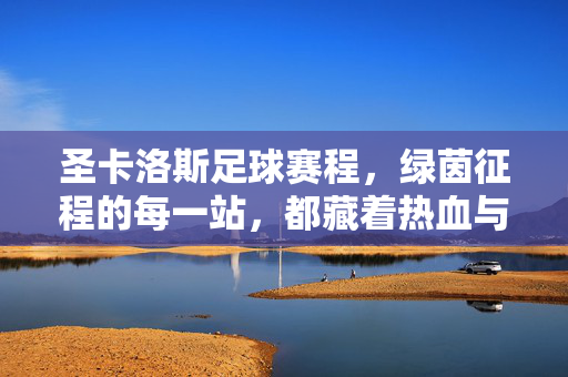 圣卡洛斯足球赛程,绿茵征程的每一站,都藏着热血与期待
