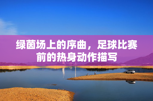 绿茵场上的序曲，足球比赛前的热身动作描写