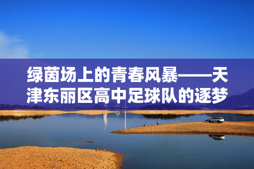 绿茵场上的青春风暴——天津东丽区高中足球队的逐梦之路