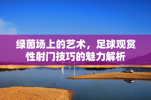 绿茵场上的艺术，足球观赏性射门技巧的魅力解析