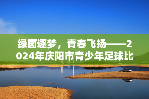 绿茵逐梦，青春飞扬——2024年庆阳市青少年足球比赛圆满落幕