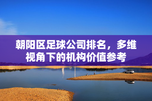 朝阳区足球公司排名，多维视角下的机构价值参考