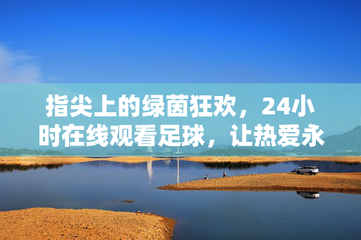 指尖上的绿茵狂欢，24小时在线观看足球，让热爱永不落幕，指尖24小时绿茵狂欢，热爱永不落幕