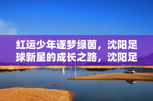 红运少年逐梦绿茵，沈阳足球新星的成长之路，沈阳足球新星逐梦成长路