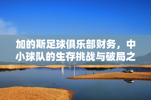 加的斯足球俱乐部财务，中小球队的生存挑战与破局之路，加的斯财务困局，中小球队的生存挑战与破局之路