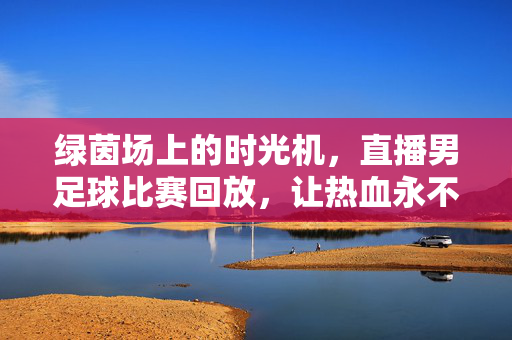 绿茵场上的时光机，直播男足球比赛回放，让热血永不缺席，绿茵时光机，男足球赛回放，让热血永不缺席