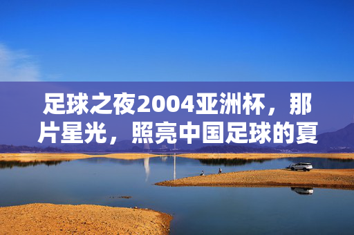 足球之夜2004亚洲杯，那片星光，照亮中国足球的夏夜，2004亚洲杯星光，照亮中国足球的夏夜