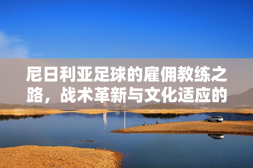 尼日利亚足球的雇佣教练之路，战术革新与文化适应的双重考验，尼日利亚足球雇佣教练，战术革新与文化适应的双重考验