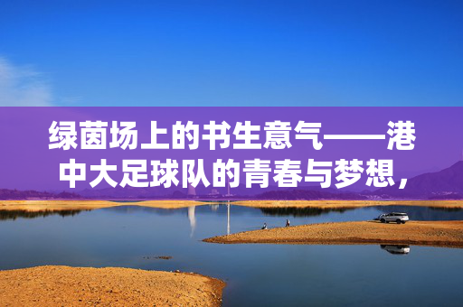绿茵场上的书生意气——港中大足球队的青春与梦想，港中大足球队，绿茵书生意气，青春逐梦