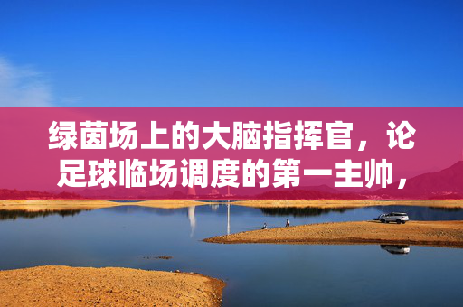 绿茵场上的大脑指挥官，论足球临场调度的第一主帅，绿茵大脑指挥官，足球主帅临场调度论