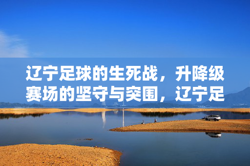 辽宁足球的生死战，升降级赛场的坚守与突围，辽宁足球生死战，升降级赛场的坚守与突围