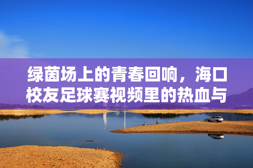 绿茵场上的青春回响，海口校友足球赛视频里的热血与温情，绿茵场上的青春回响，海口校友足球赛的热血与温情