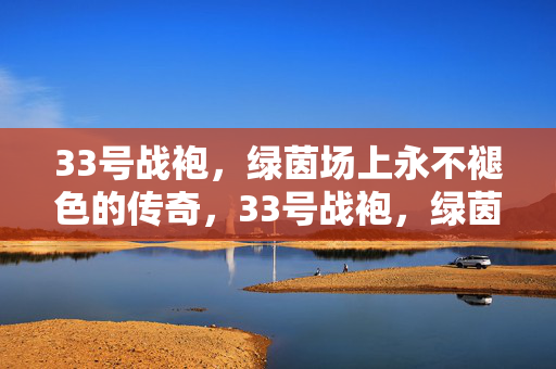 33号战袍，绿茵场上永不褪色的传奇，33号战袍，绿茵场上的永不褪色传奇