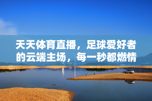 天天体育直播，足球爱好者的云端主场，每一秒都燃情