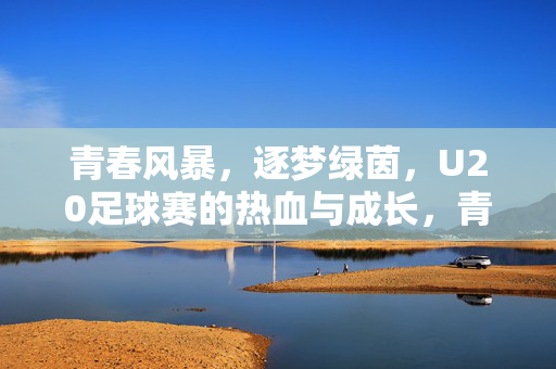 青春风暴，逐梦绿茵，U20足球赛的热血与成长，青春风暴逐梦绿茵，U20足球赛的热血成长