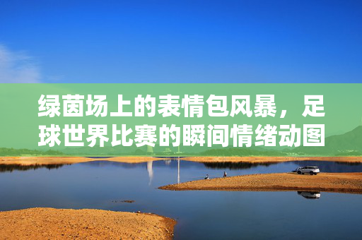 绿茵场上的表情包风暴，足球世界比赛的瞬间情绪动图，绿茵场瞬间情绪动图风暴