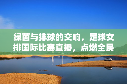绿茵与排球的交响，足球女排国际比赛直播，点燃全民体育激情，绿茵排球交响，国际双赛直播燃情全民体育激情