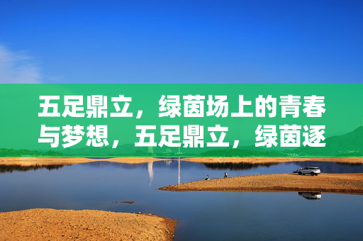 五足鼎立，绿茵场上的青春与梦想，五足鼎立，绿茵逐梦青春