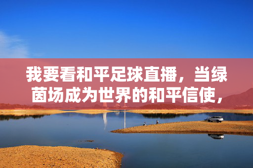 我要看和平足球直播，当绿茵场成为世界的和平信使，足球直播，绿茵场，世界的和平信使