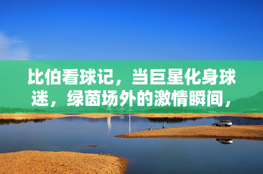 比伯看球记，当巨星化身球迷，绿茵场外的激情瞬间，比伯看球记，巨星化身球迷，绿茵场外激情瞬间
