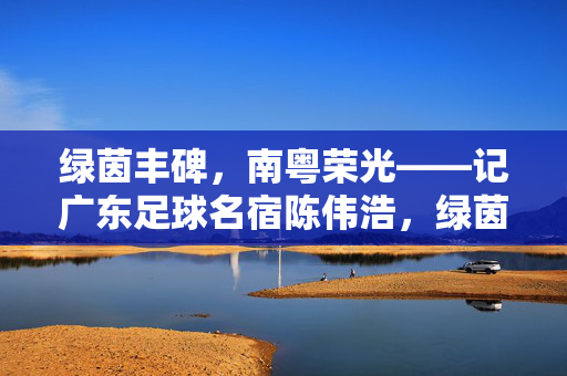 绿茵丰碑，南粤荣光——记广东足球名宿陈伟浩，绿茵丰碑，南粤荣光——广东足球名宿陈伟浩