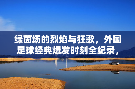绿茵场的烈焰与狂歌，外国足球经典爆发时刻全纪录，绿茵烈焰狂歌，外国足球经典爆发时刻全纪录