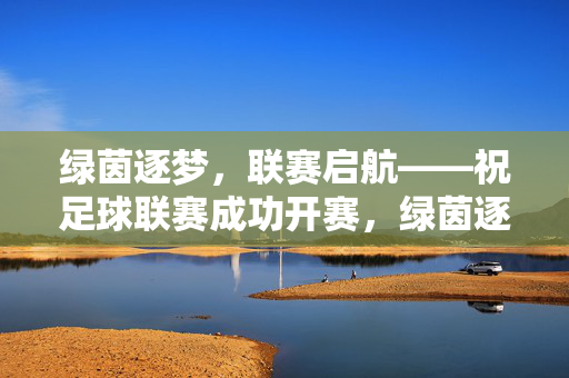绿茵逐梦，联赛启航——祝足球联赛成功开赛，绿茵逐梦，联赛启航