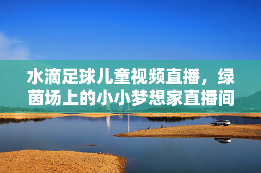 水滴足球儿童视频直播，绿茵场上的小小梦想家直播间，水滴足球·绿茵场上的小小梦想家直播间