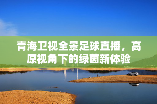 青海卫视全景足球直播，高原视角下的绿茵新体验