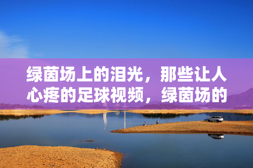 绿茵场上的泪光,那些让人心疼的足球视频,绿茵场的泪光,那些让人心疼的足球视频