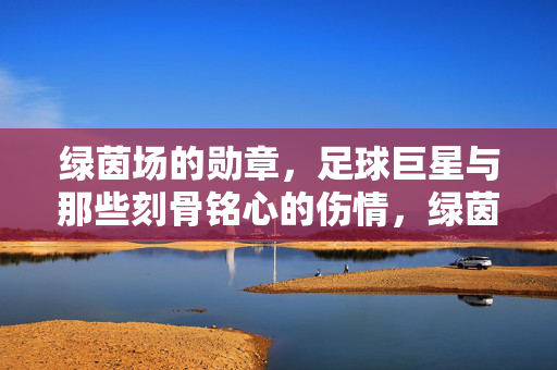 绿茵场的勋章，足球巨星与那些刻骨铭心的伤情，绿茵勋章，足球巨星的刻骨伤情