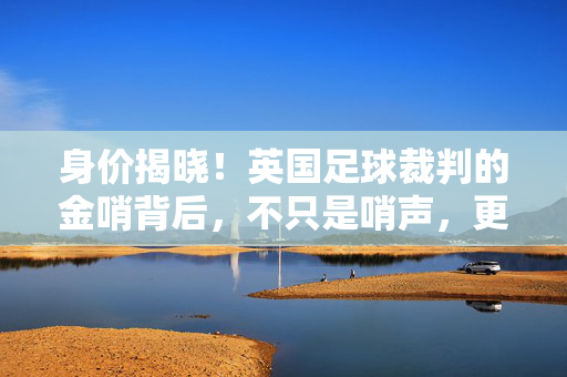 身价揭晓！英国足球裁判的金哨背后，不只是哨声，更是价值衡量，英国足球裁判金哨，哨声背后的价值衡量