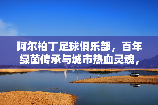 阿尔柏丁足球俱乐部，百年绿茵传承与城市热血灵魂，阿尔柏丁，百年绿茵传承，城市热血魂