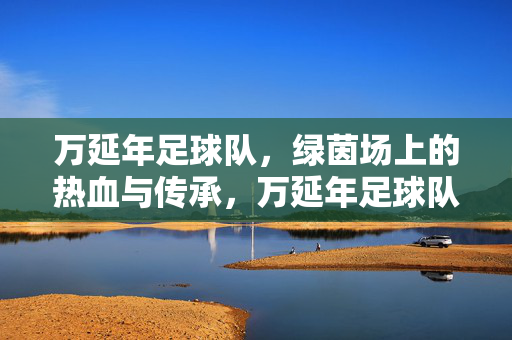 万延年足球队，绿茵场上的热血与传承，万延年足球队，绿茵热血，薪火相传
