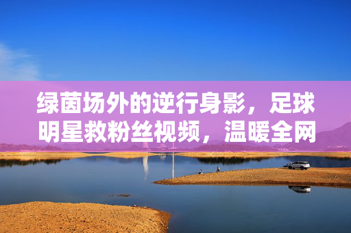绿茵场外的逆行身影，足球明星救粉丝视频，温暖全网，足球明星场外逆行救粉丝，温暖全网
