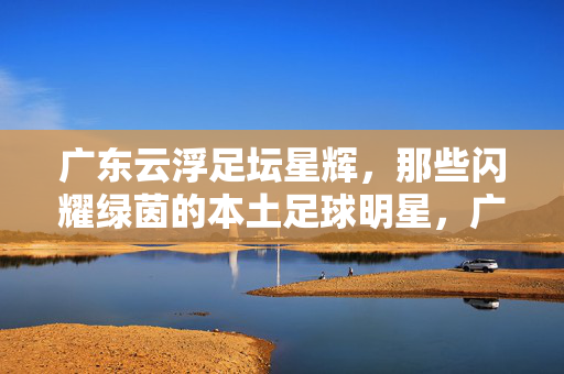 广东云浮足坛星辉，那些闪耀绿茵的本土足球明星，广东云浮足坛星辉，闪耀绿茵的本土足球明星