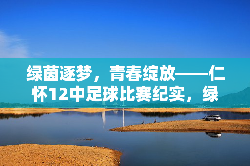 绿茵逐梦,青春绽放——仁怀12中足球比赛纪实,绿茵逐梦,青春绽放——仁怀12中足球赛