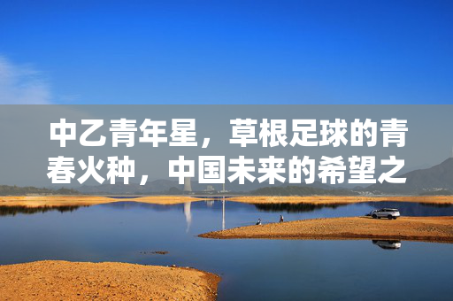 中乙青年星,草根足球的青春火种,中国未来的希望之光,中乙青年星,草根足球的青春火种,中国未来之光
