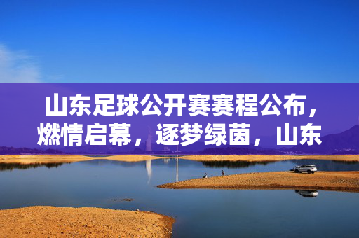 山东足球公开赛赛程公布，燃情启幕，逐梦绿茵，山东足球公开赛赛程公布 燃情启幕逐梦绿茵