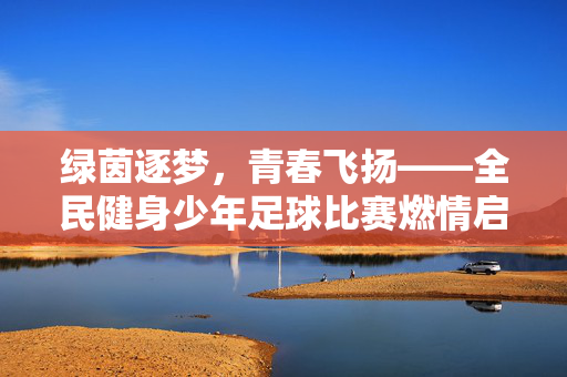 绿茵逐梦,青春飞扬——全民健身少年足球比赛燃情启幕,绿茵逐梦青春飞扬,全民健身少年足球启幕