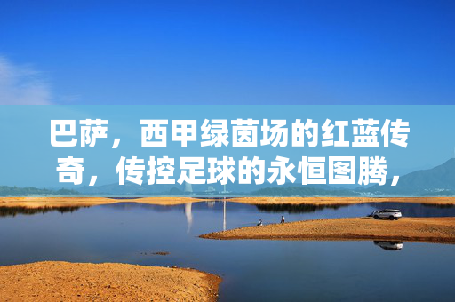 巴萨,西甲绿茵场的红蓝传奇,传控足球的永恒图腾,巴萨,西甲红蓝传奇,传控足球永恒图腾