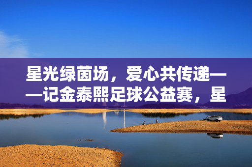 星光绿茵场,爱心共传递——记金泰熙足球公益赛,星光绿茵场,爱心共传递——金泰熙足球公益赛