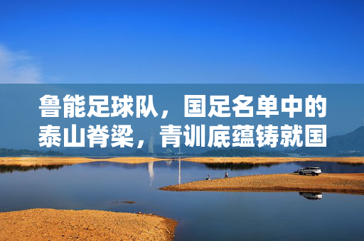 鲁能足球队，国足名单中的泰山脊梁，青训底蕴铸就国脚摇篮，鲁能，国足脊梁，青训铸就国脚摇篮