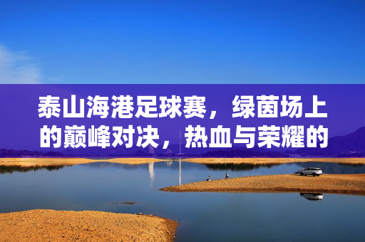 泰山海港足球赛，绿茵场上的巅峰对决，热血与荣耀的交响，泰山海港足球赛，绿茵巅峰对决，热血荣耀交响